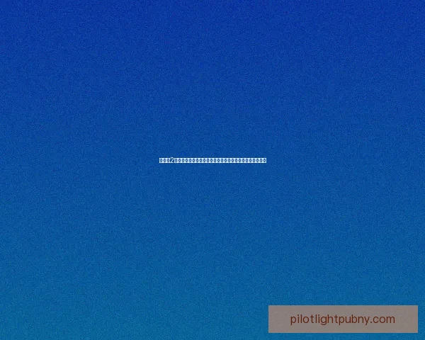 中世纪2全面战争修改器使用指南与技巧分享帮助玩家提升游戏体验